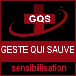 Les Gestes Qui Sauvent(GQS)